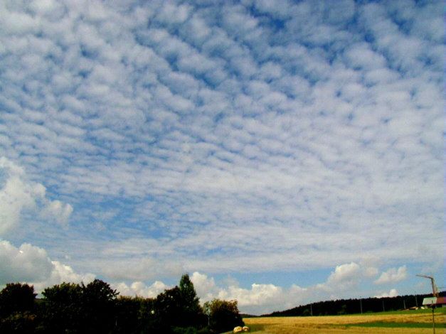 Altocumulus